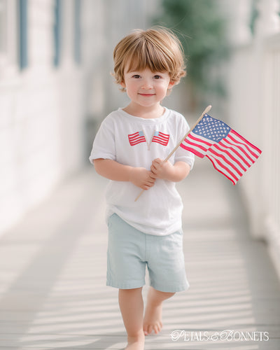4th of July Flags